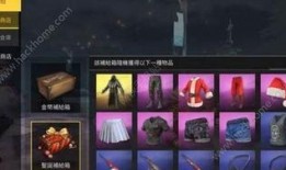 s12补给箱爆料最新,揭秘神秘宝藏与惊喜内容