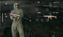 吃鸡最新枪爆料,吃鸡战场再掀风云，神秘武器引领潮流